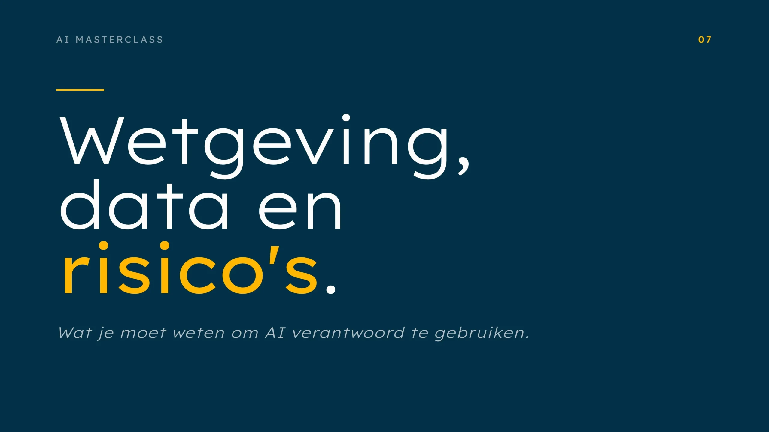 Steyaert - AI Masterclass - 07 - Wetgeving data en risicos